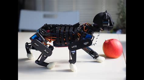 open cat robot kit usa|Petoicamp/opencat .